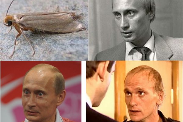 Кракен сайт пользователь не найден