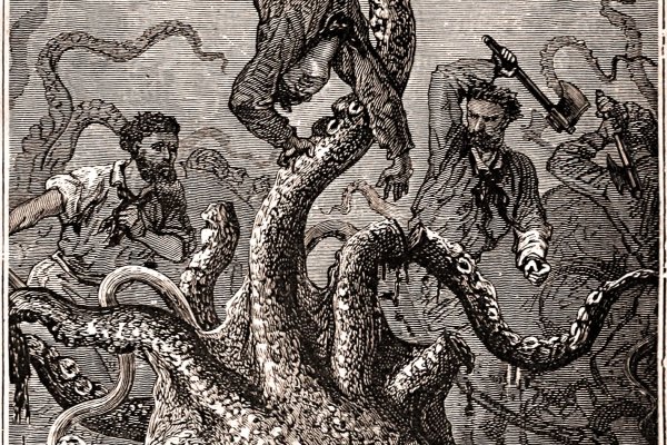 Kraken 12 att
