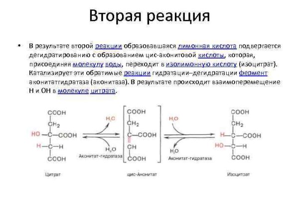 Как заказать на кракене