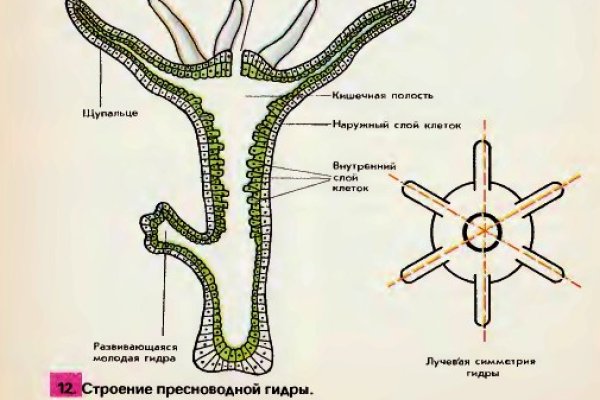 Кракен ссылка тор kr2web in