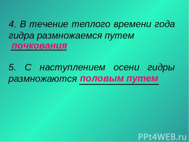 Как войти на кракен
